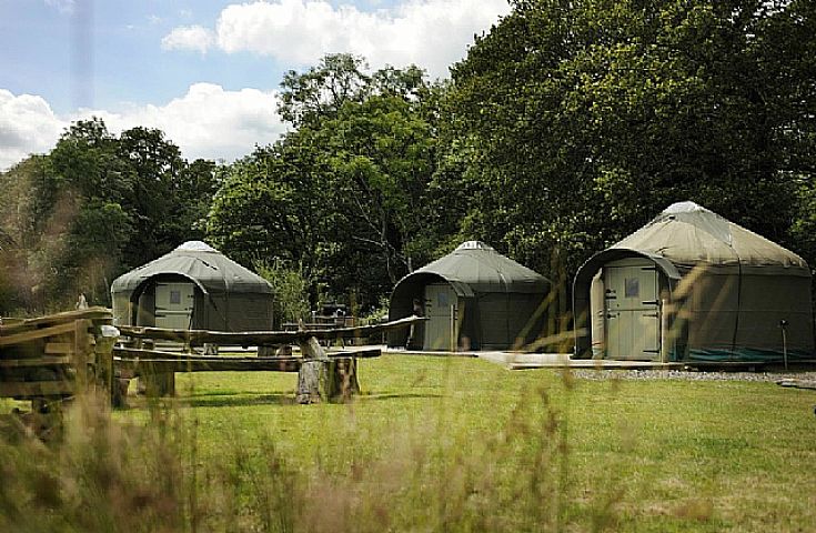 Brickles Yurts - Holidays in Dorset