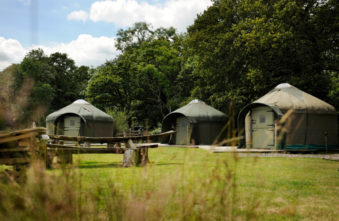Withy Bed Camp | Camp in Dorset | Stock Gaylard