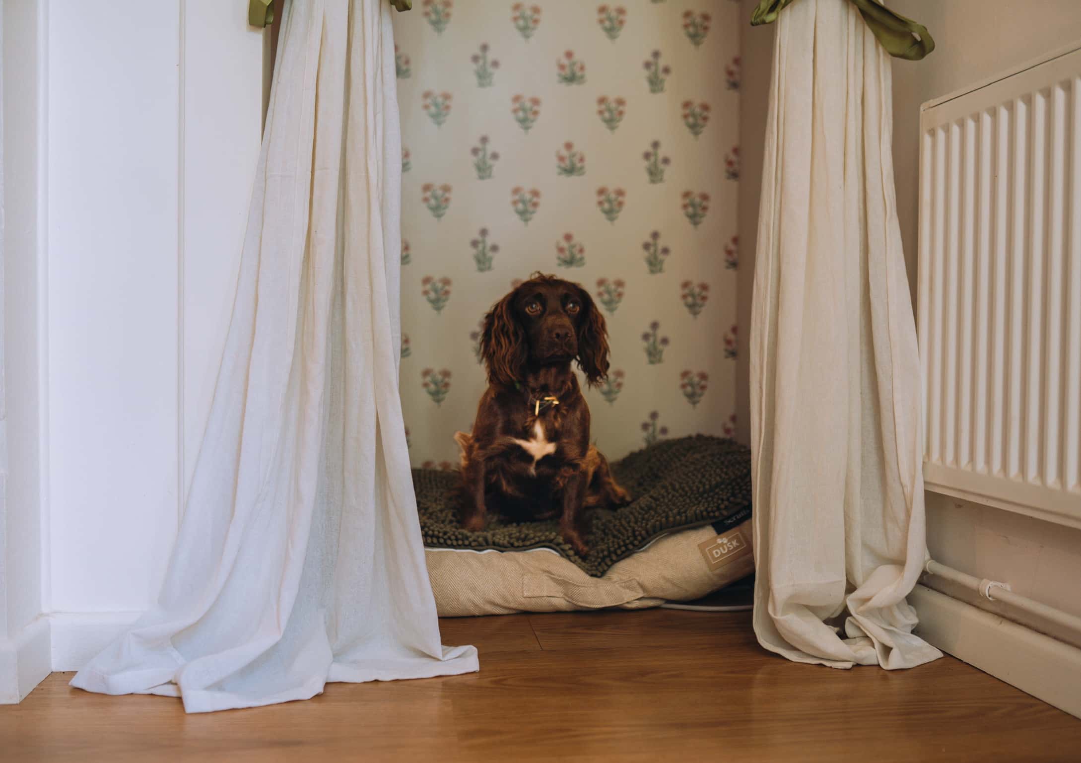 Dog Bed